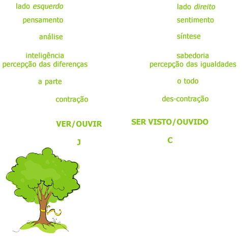 A árvore da vida e processo evolutivo - Interpretação